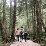 佐久穂町の白駒の池、原生林と貴重な苔のある景色、遊歩道を歩く