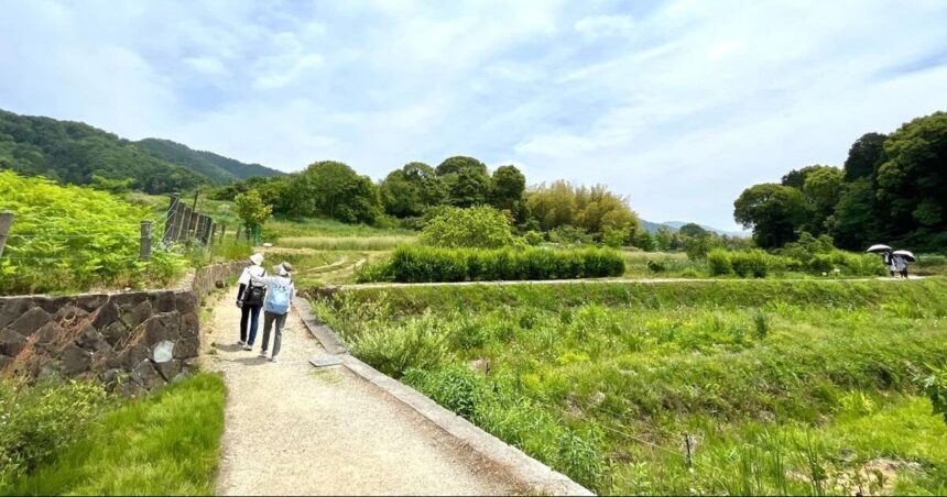 桜井市、桜井と奈良を結ぶ古道、山の辺の道の風景