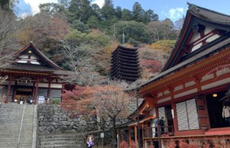 桜井市、藤原鎌足と中大兄皇子が大化の改新の密談を交わした場所と伝わる談山神社
