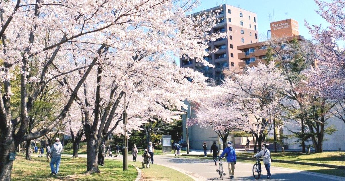 札幌市中央区、日本の歴史公園100選にも選ばれ、春にはエゾヤマ桜が美しく咲く中島公園