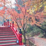 世羅町甲山、紅葉が美しく映えるスポットとして知られる、今高野山 龍華寺の神之橋