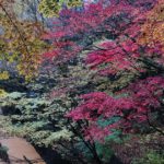 渋川市、伊香保温泉で見る秋の紅葉景色