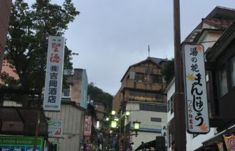 渋川市を代表する観光地、伊香保温泉
