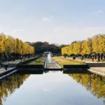 立川市、国営昭和記念公園の紅葉景色