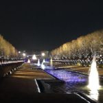 立川市、夜間ライトアップが美しい国営昭和記念公園