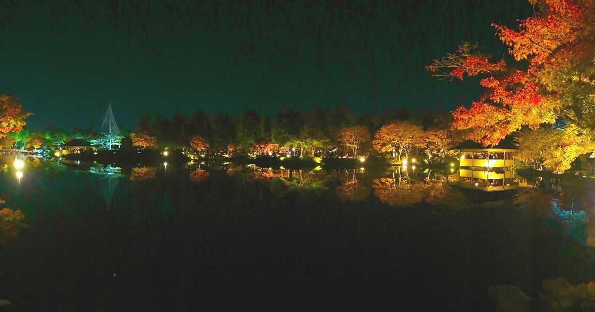 立川市緑町、国営昭和記念公園の紅葉ライトアップ風景