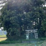 南部町、田園風景の中に静かに佇む小原神社（客神社）