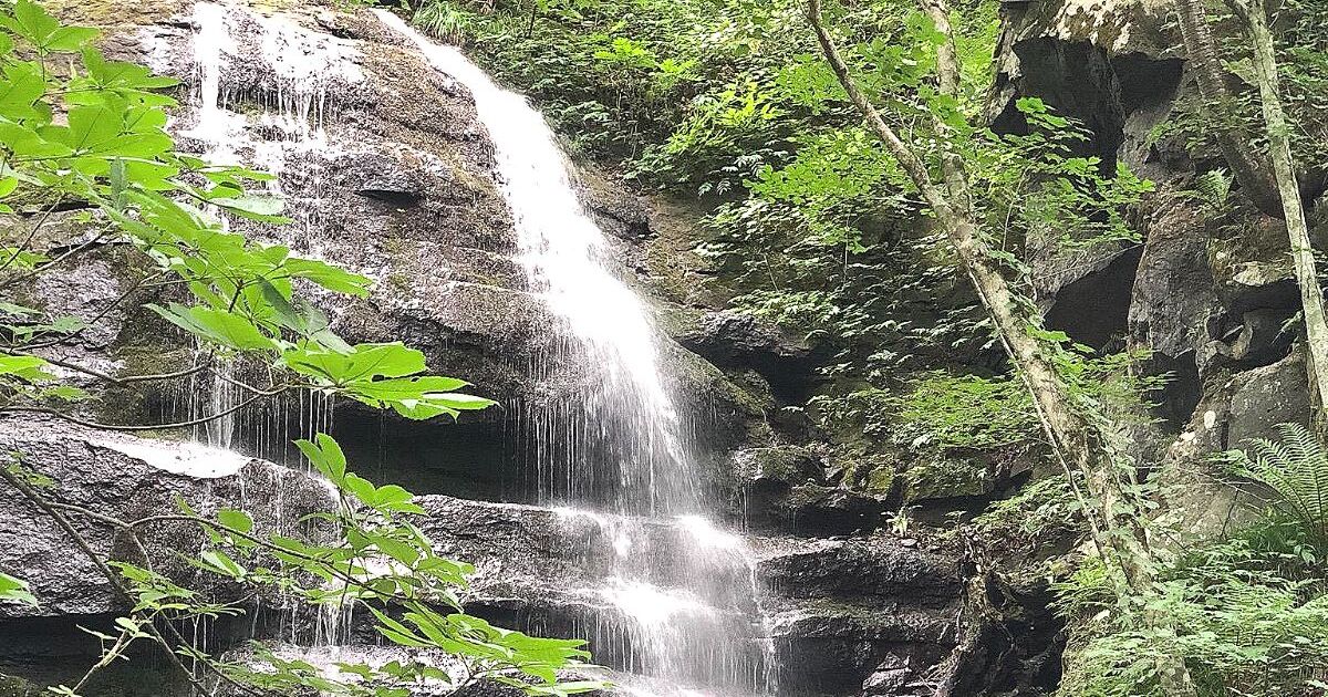 十和田市の豊かな自然の中に流れる滝景色