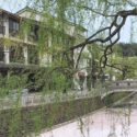 豊岡市の城崎温泉、大谿川沿いの柳並木と石橋の景色
