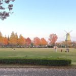 土浦市大岩田、オランダ型風車がシンボルにもなっている霞ヶ浦総合公園の風景