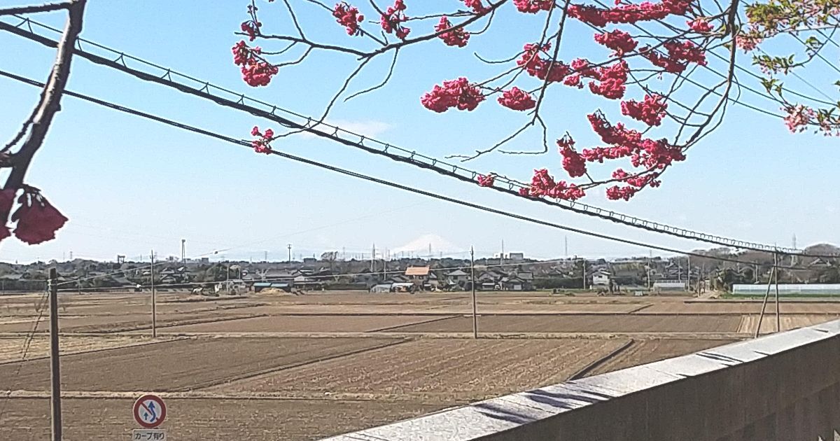つくばみらい市の田園風景と奥に見える富士山の風景