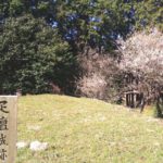 敦賀市疋田、かつての戦国時代、朝倉氏の武将によって築かれた城、疋壇城跡