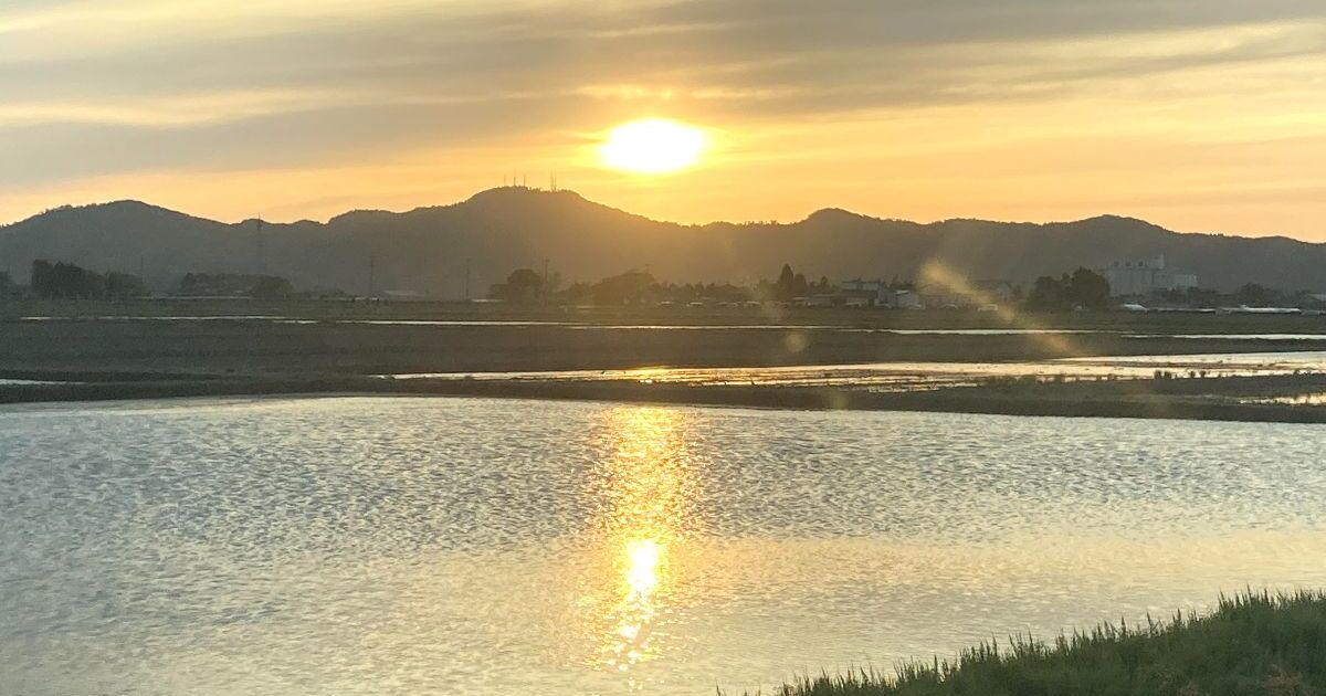 鶴岡市、国道7号線近くの水田に映る夕陽の風景