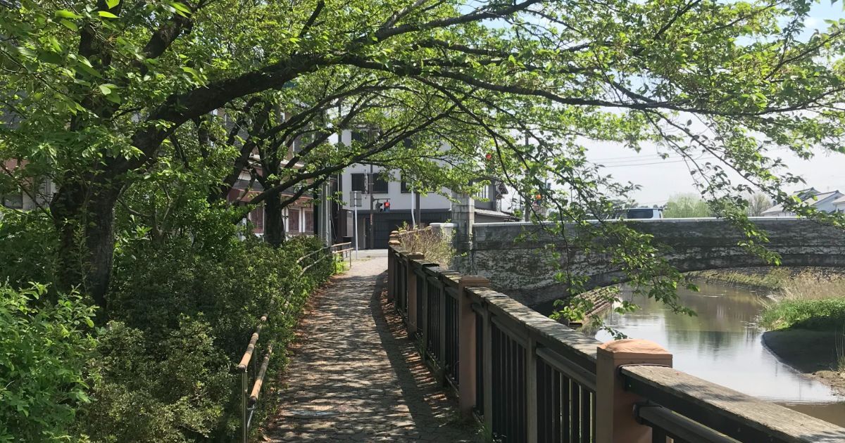 鶴岡市泉町、内川河川緑地の散歩道風景