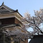 上田市の中心地、上田城跡公園に咲く桜
