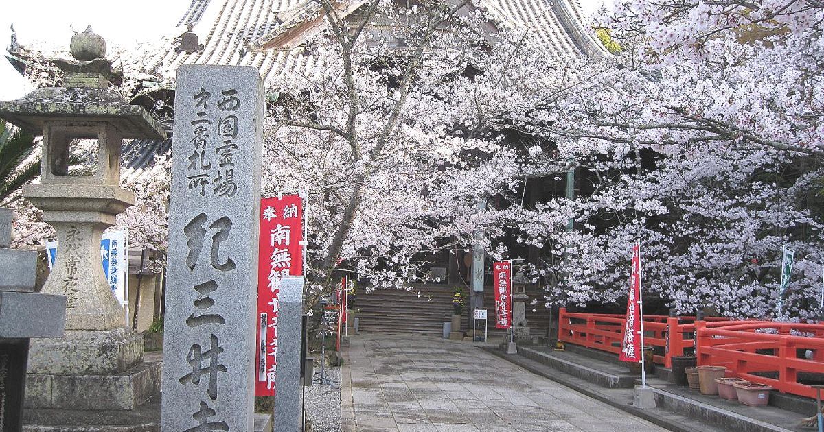 和歌山市紀三井寺、古くから和歌にも詠まれ、早咲き桜の名所としても知られる紀三井寺の境内風景