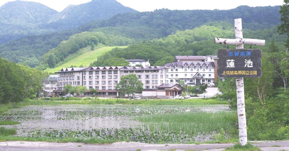 山ノ内町、水生植物の宝庫であり、晴れた日には美しい風景が映り込む志賀高原の蓮池