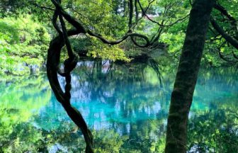 遊佐町で神秘の泉とも言われる景勝地、鳥海山の麓で目にすることができる丸池様