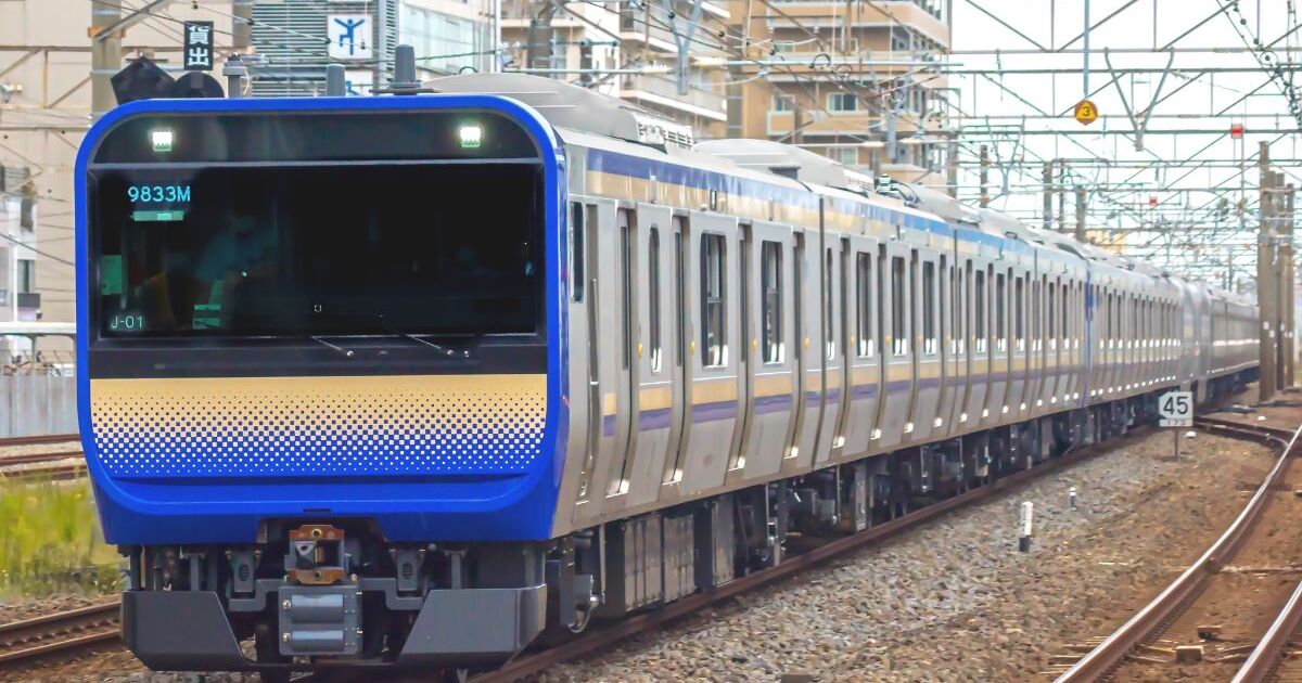 東京から横浜、鎌倉、横須賀へと走るJR横須賀線