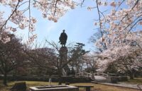 あわら市吉崎、浄土真宗の中興の祖とも言われ、布教の一大拠点となった吉崎御坊の跡に建つ、蓮如上人像と桜の風景