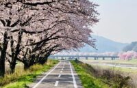 塙町を流れる久慈川の河川敷と桜並木の風景