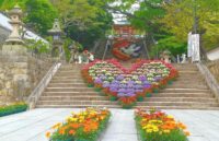 防府市松崎町、日本三大天満宮にも数えられ、大石段の花回廊も見所になっている防府天満宮