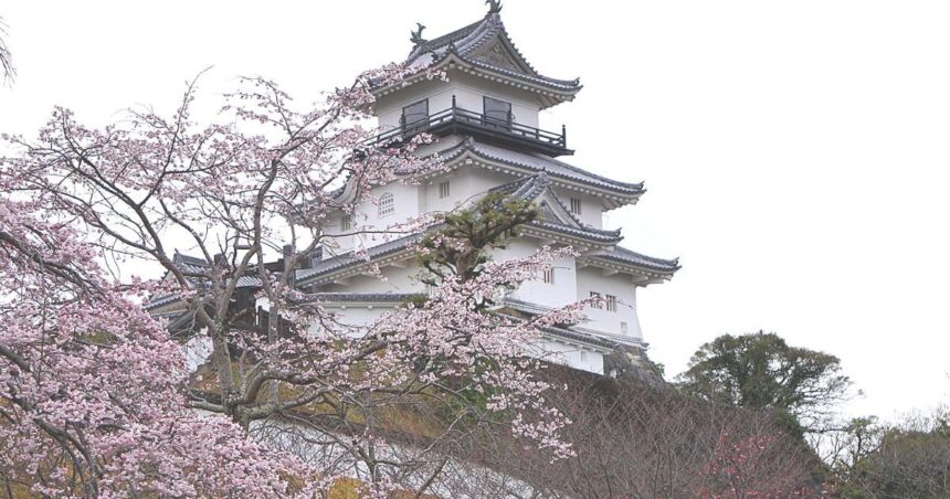 掛川市掛川、春になると掛川桜が美しく咲く、掛川城の風景