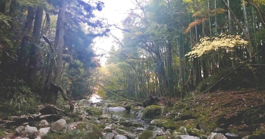 高萩市中戸川、新緑や紅葉が美しい景勝地、花貫渓谷の風景