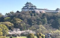 和歌山市一番丁、和歌山市のランドマークであり、庭園風景も美しい和歌山城の風景