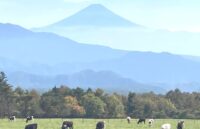 北杜市大泉町、牧場と雄大な富士山の景色が広がる県立まきば公園の風景