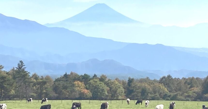 北杜市大泉町、牧場と雄大な富士山の景色が広がる県立まきば公園の風景